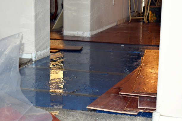 Professional Basement Flood Cleanup technician working in Climax, NC